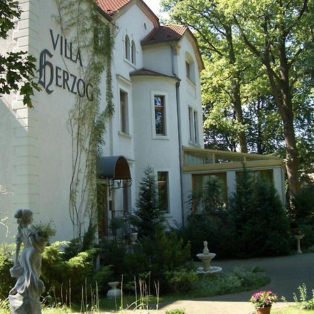 Hotel Villa Herzog ドレスデン エクステリア 写真