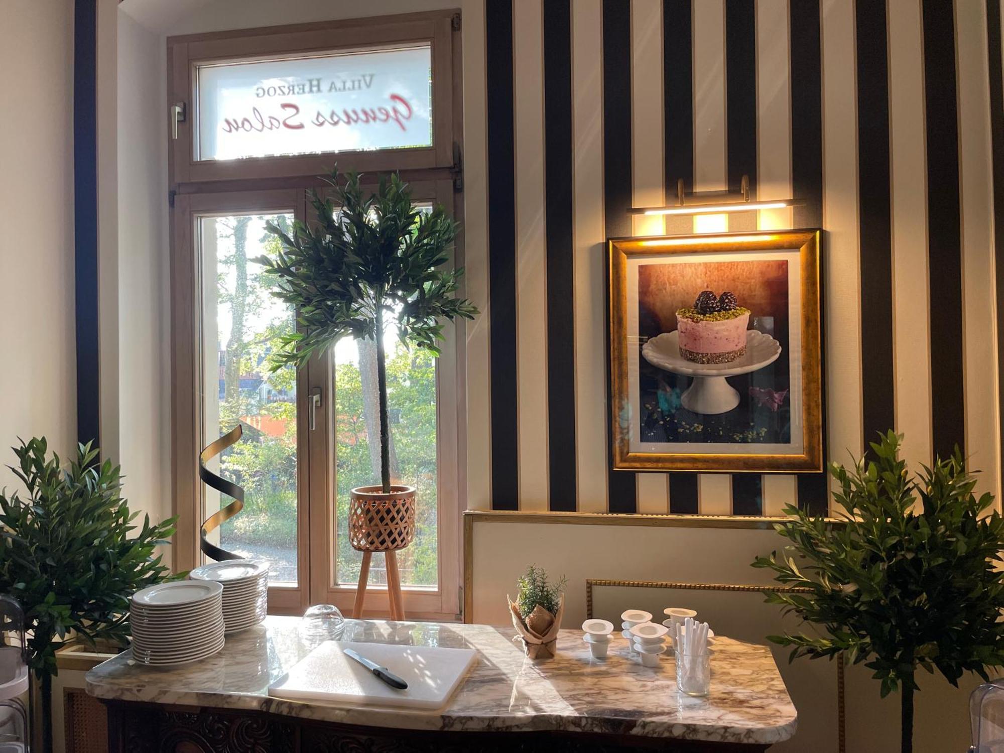 Hotel Villa Herzog ドレスデン エクステリア 写真