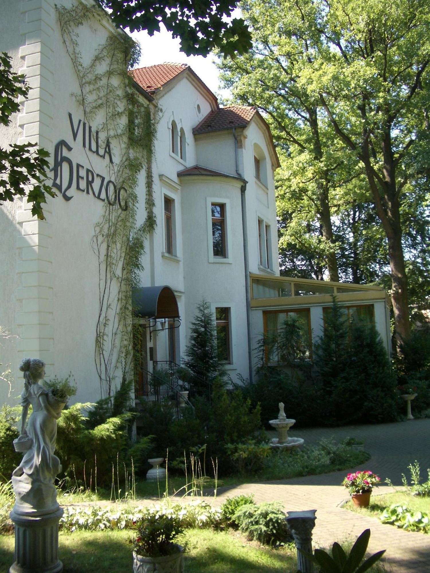Hotel Villa Herzog ドレスデン エクステリア 写真
