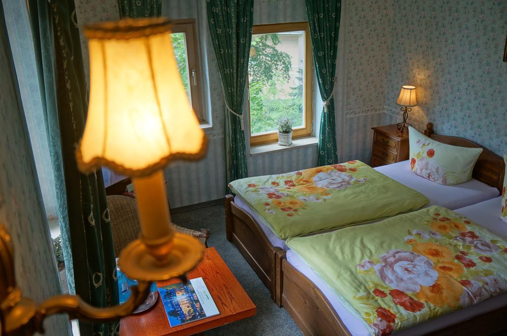 Hotel Villa Herzog ドレスデン エクステリア 写真