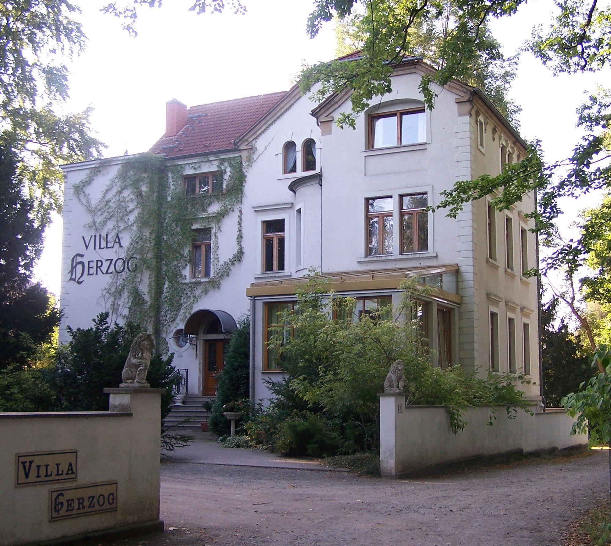 Hotel Villa Herzog ドレスデン エクステリア 写真
